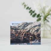 Zeeleeuw Briefkaart (Staand voorkant)