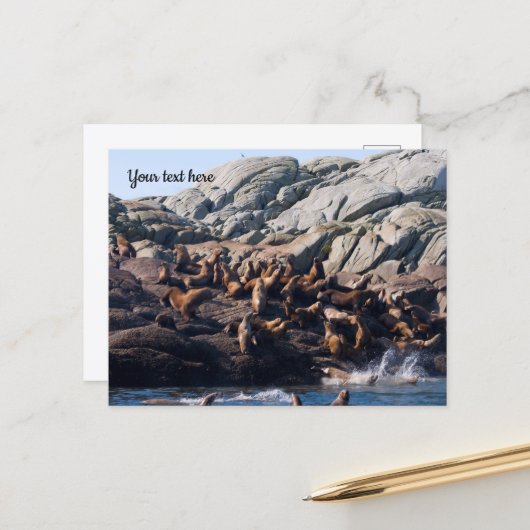 Zeeleeuw Briefkaart (Voorkant / Achterkant in situ)
