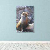 Zeeleeuw Canvas Afdruk (Insitu (Houten vloer))