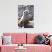 Zeeleeuw Canvas Afdruk (Insitu (Woonkamer))