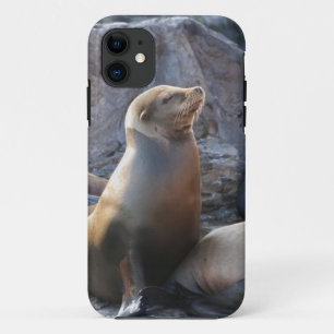 Zeeleeuw Case-Mate iPhone Case