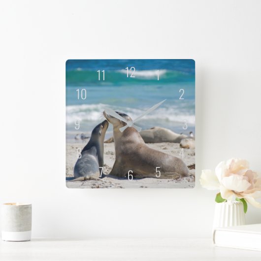 Zeeleeuw en jong dier Beach Australia Square Wa Vierkante Klok (Huis)