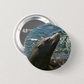 Zeeleeuw Knoppen Ronde Button 5,7 Cm (Voorkant /achterkant)