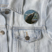Zeeleeuw Knoppen Ronde Button 5,7 Cm (In situ)
