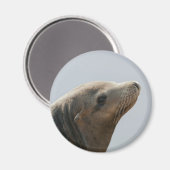 Zeeleeuw Magneet (Voorkant / Achterkant)