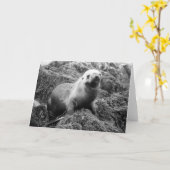 Zeeleeuw notecard kaart (Gele Bloem)