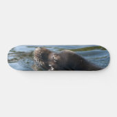 Zeeleeuw Persoonlijk Skateboard (Horizontaal)