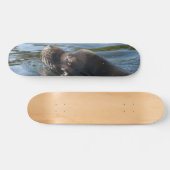 Zeeleeuw Persoonlijk Skateboard (Horizontaal)