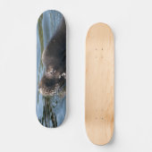 Zeeleeuw Persoonlijk Skateboard (Voorkant)