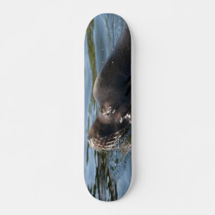 Zeeleeuw Persoonlijk Skateboard