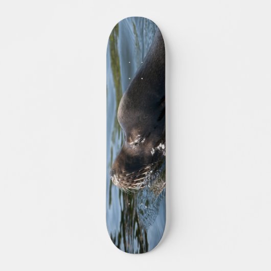 Zeeleeuw Persoonlijk Skateboard (Voorkant)