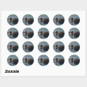 Zeeleeuw Ronde Sticker (Vel)