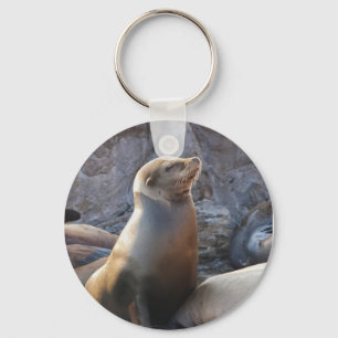 Zeeleeuw Sleutelhanger