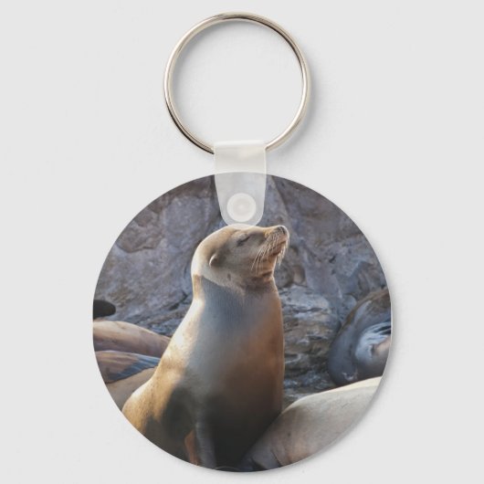 Zeeleeuw Sleutelhanger (Voorkant)
