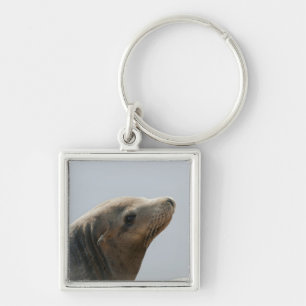 Zeeleeuw Sleutelhanger