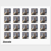 Zeeleeuw Vierkante Sticker (Vel)