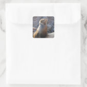 Zeeleeuw Vierkante Sticker (Tas)