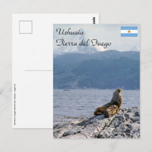 Zeeleeuwen in Beagle kanaal - Argentinië Briefkaart