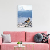 Zeeleeuwen in Beagle kanaal - Argentinië Canvas Afdruk (Insitu (Woonkamer))