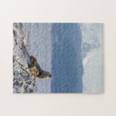 Zeeleeuwen in Beagle kanaal - Argentinië Legpuzzel (Horizontaal)