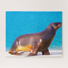 Zeeleeuwen Legpuzzel