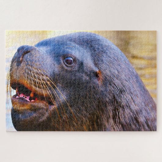 Zeeleeuwen Legpuzzel (Horizontaal)