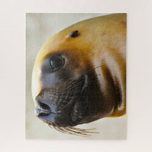 Zeeleeuwen Legpuzzel (Verticaal)