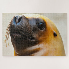 Zeeleeuwen Legpuzzel