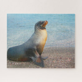 Zeeleeuwen Legpuzzel
