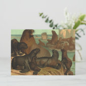 Zeeleeuwen op het strand, oud marien leven dier (Staand voorkant)