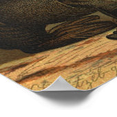 Zeeleeuwen op het strand, oud marien leven dier poster (Hoek)