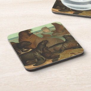 Zeeleeuwen op het strand, Oude zeedieren dier Bier Onderzetter