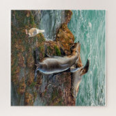 Zeeleeuwen Puzzel | Kust Wilde Dieren Oceaan Kunst (Horizontaal)
