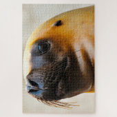 Zeeleeuwen van onze zeeën legpuzzel (Verticaal)