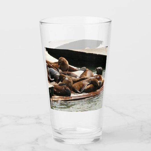 Zeeleeuwen zonnen in San Francisco Glas (Voorkant)