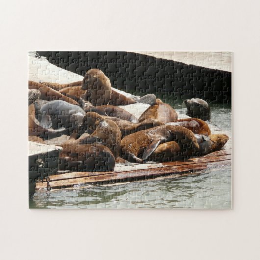 Zeeleeuwen zonnen in San Francisco Legpuzzel (Horizontaal)