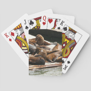 Zeeleeuwen zonnen in San Francisco Pokerkaarten