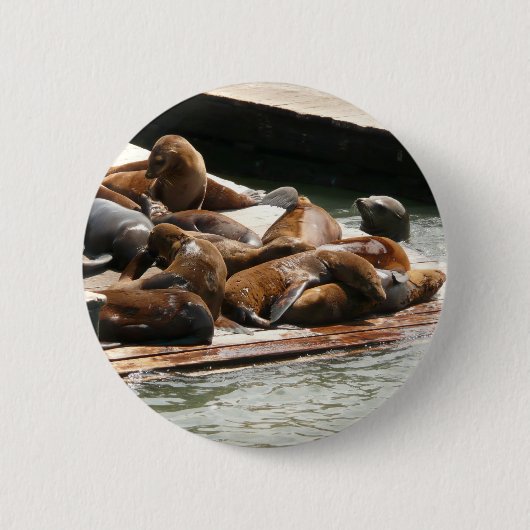 Zeeleeuwen zonnen in San Francisco Ronde Button 5,7 Cm (Voorkant)
