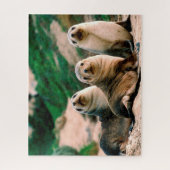 Zeeleeuwenjongen, Legpuzzel (Verticaal)
