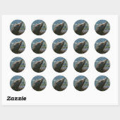 Zeeleeuwstickers Ronde Sticker (Vel)