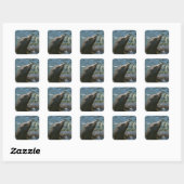 Zeeleeuwstickers Vierkante Sticker (Vel)