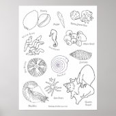 Zeeleven Handgetekend Zwart en Wit Poster (Voorkant)