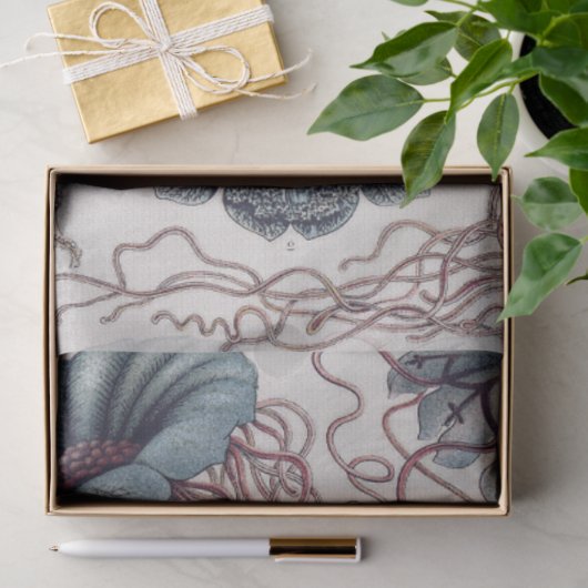 Zeeleven kwallen - Ernst Haeckel Decoupage Tissuepapier (Geschenk)