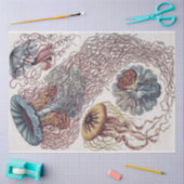 Zeeleven kwallen - Ernst Haeckel Decoupage Tissuepapier (Craft)