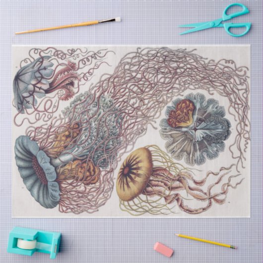 Zeeleven kwallen - Ernst Haeckel Decoupage Tissuepapier (Craft)