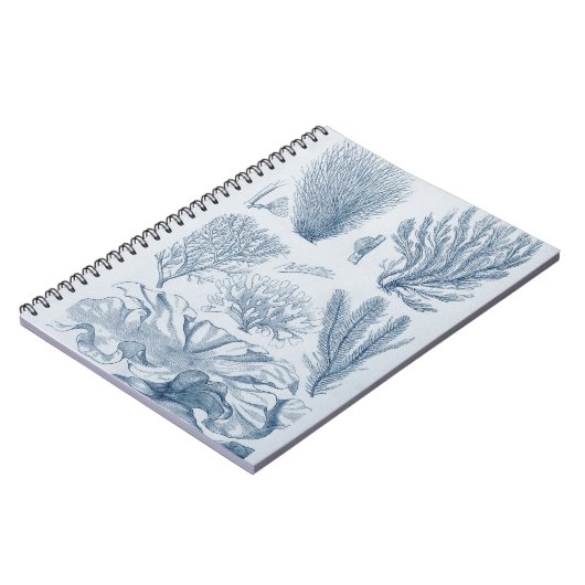 zeeleven notitieboek (Linkerzijde)