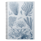 zeeleven notitieboek (Voorkant)