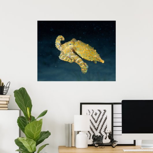 Zeeleven - Octopus Poster (Thuiskantoor)