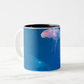 Zeeleven Tweekleurige Koffiemok (Voorkant links)
