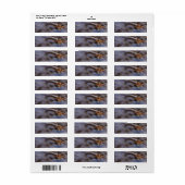 Zeeluiken op de labels van het Surf-retouradres (Full Sheet)